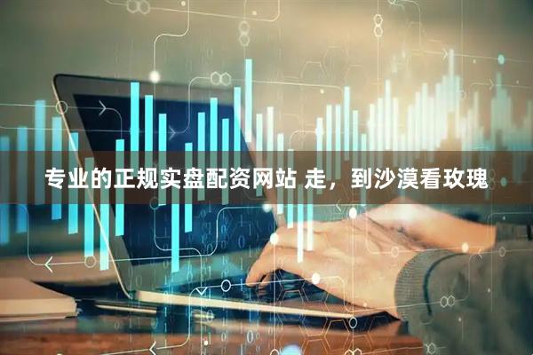 专业的正规实盘配资网站 走，到沙漠看玫瑰